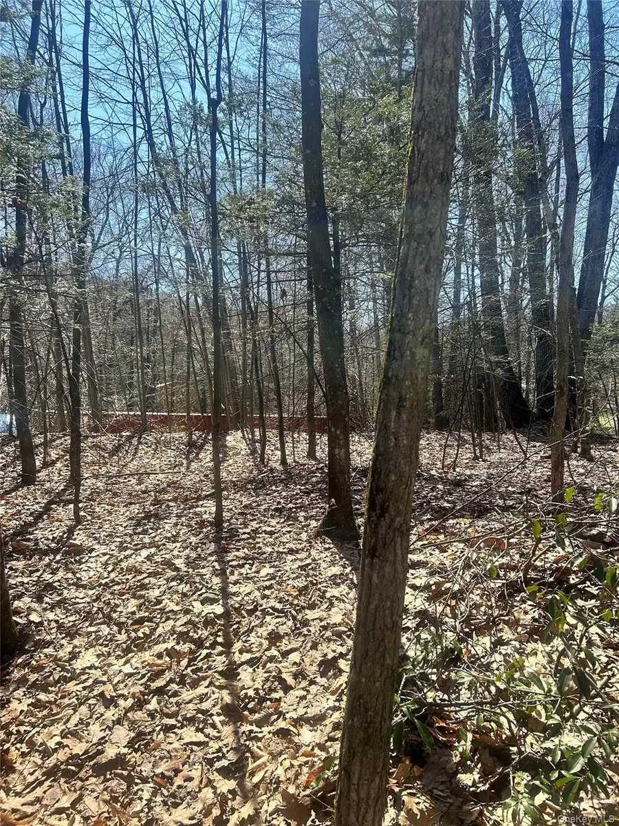 TBD Sidney Street, Kerhonkson, NY 12446 - #3