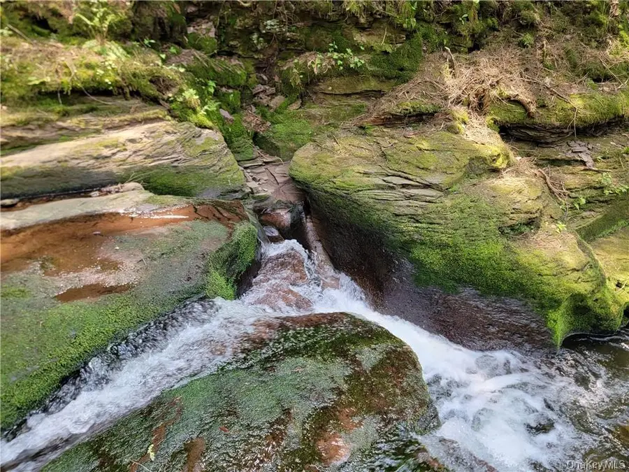 172 Eagles Ridge Way, Parksville, NY 12768 - #3