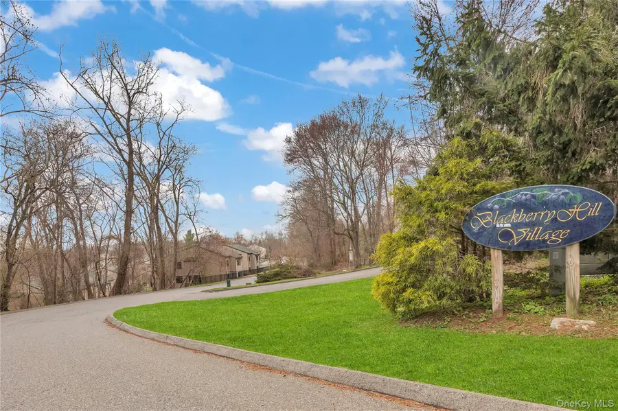 3203 Village Drive, Brewster, NY 10509 - #3