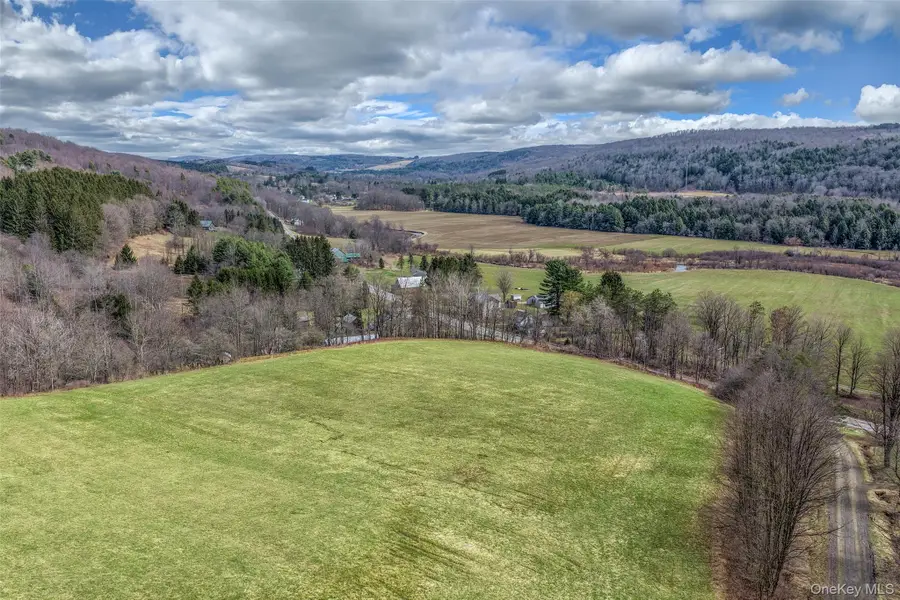 LOT 13 State Highway 51, Garrattsville, NY 13342 - #2