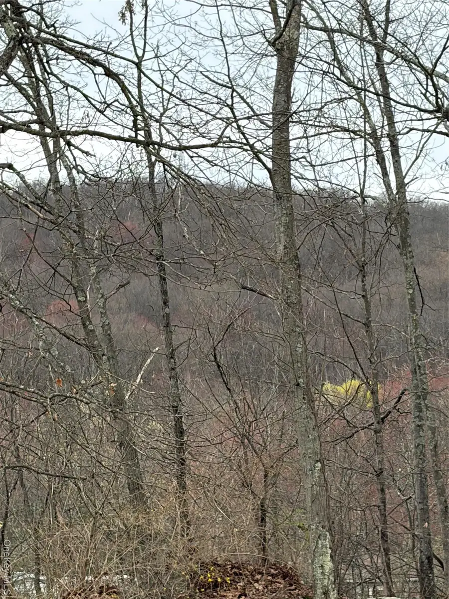 Fox Mountain, Livingston Manor, NY 12758 - #2