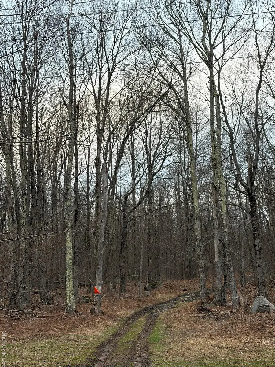 Fox Mountain, Livingston Manor, NY 12758 - #3