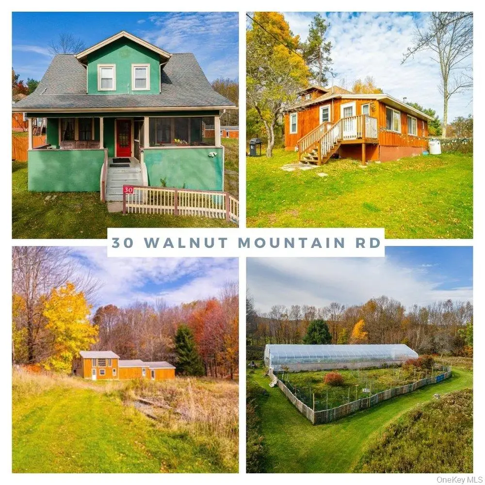 30 Walnut Mountain Road, Liberty, NY 12754 - #1
