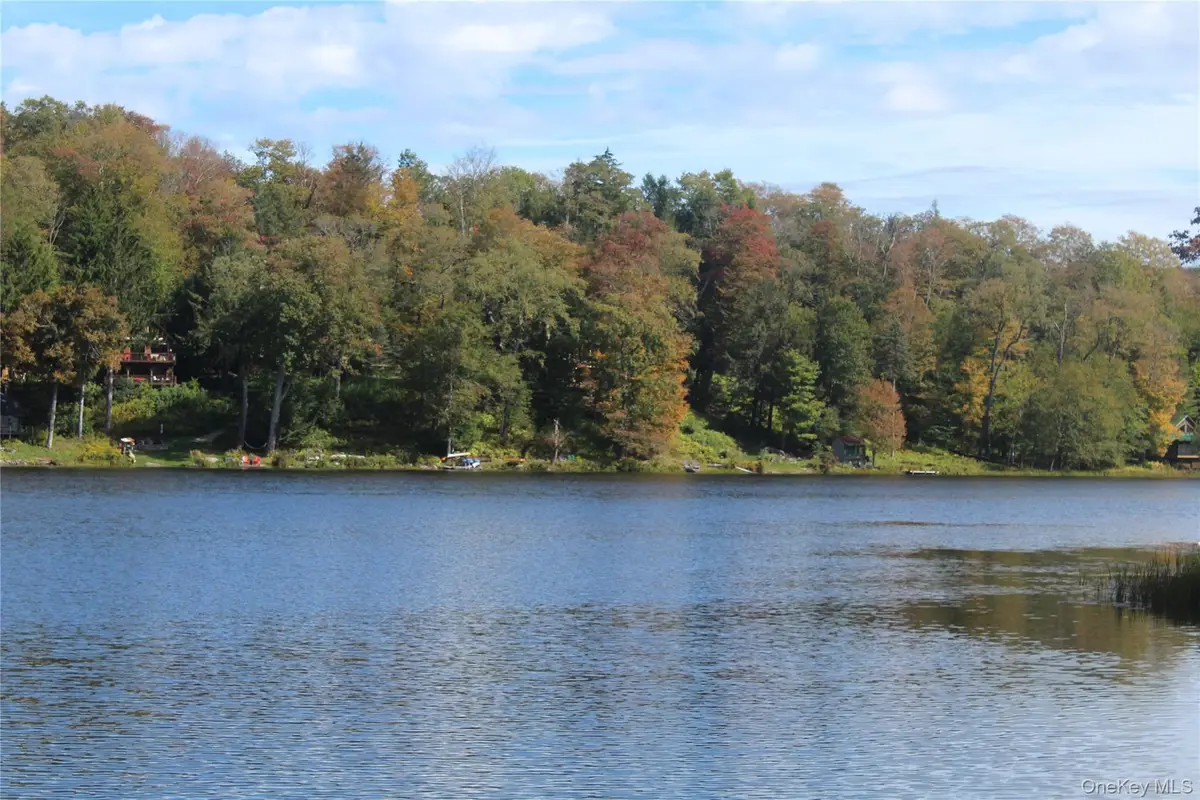 Trout Brook Road, Fremont, NY 12736 - #1