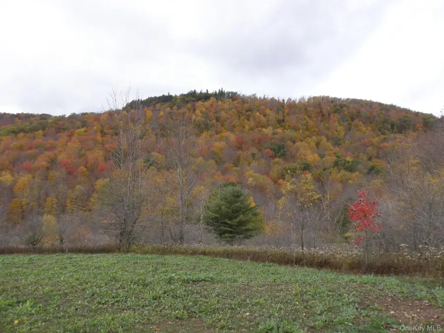 Gregory Hollow Road, Hamden, NY 13782 - #2