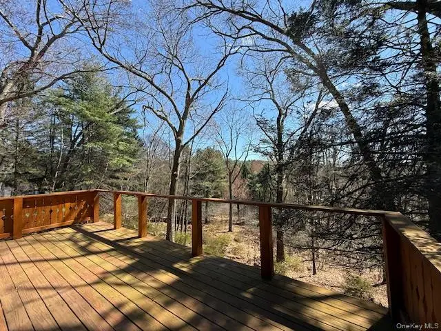 441 Hollow Road, Glen Spey, NY 12737 - #2