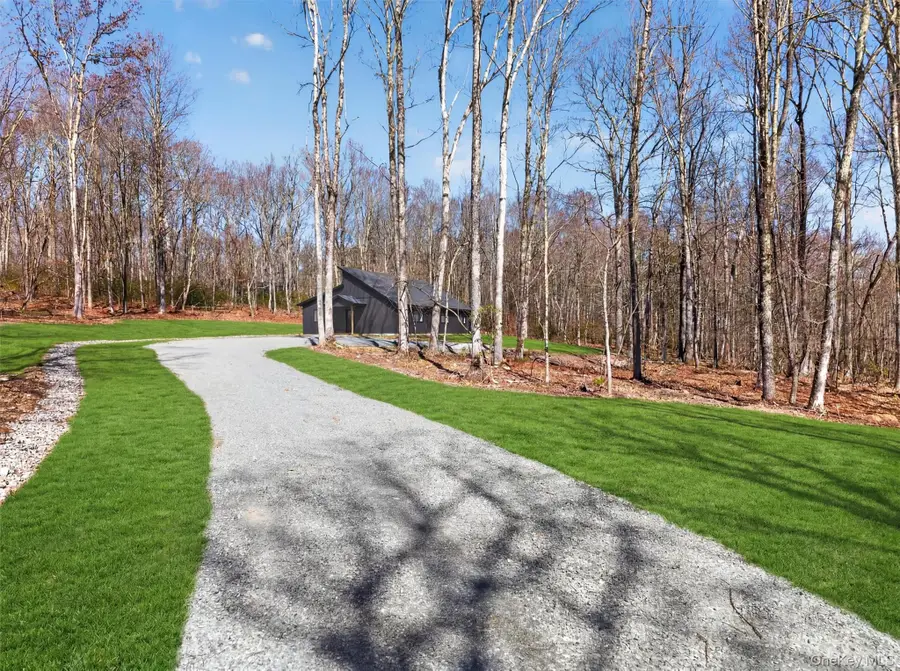 273 Perry Pond Road, Narrowsburg, NY 12764 - #3