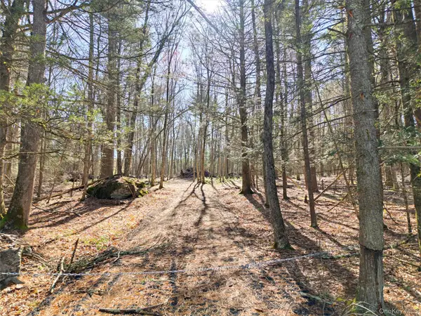 Crawford Road, Eldred, NY 12528