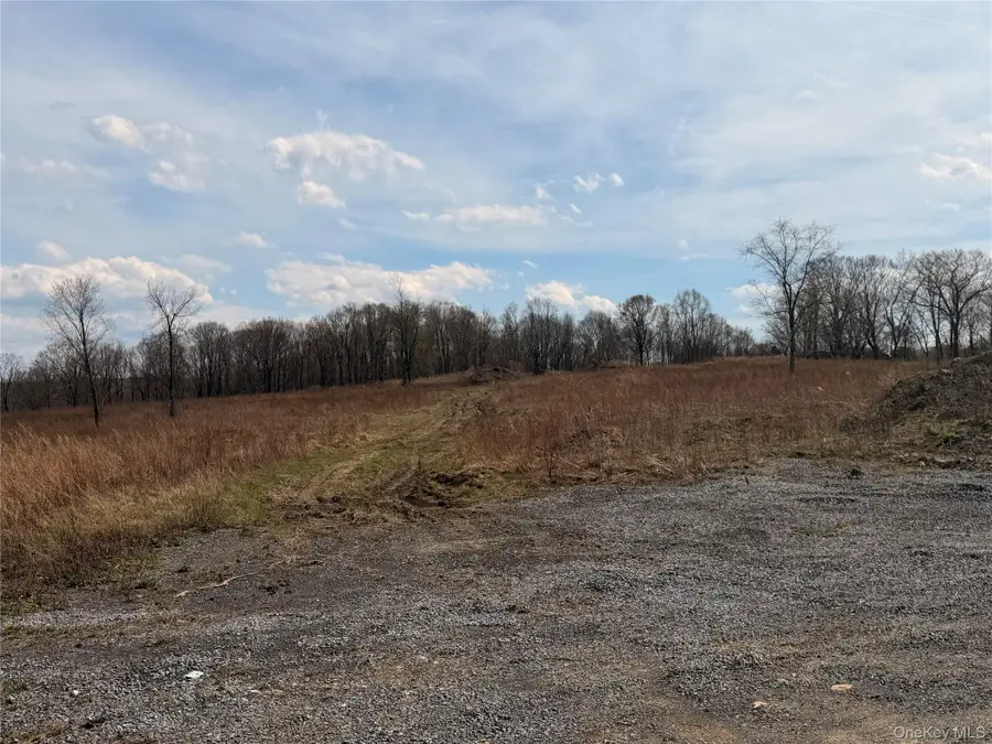 0 Route 55, Lagrangeville, NY 12540 - #2