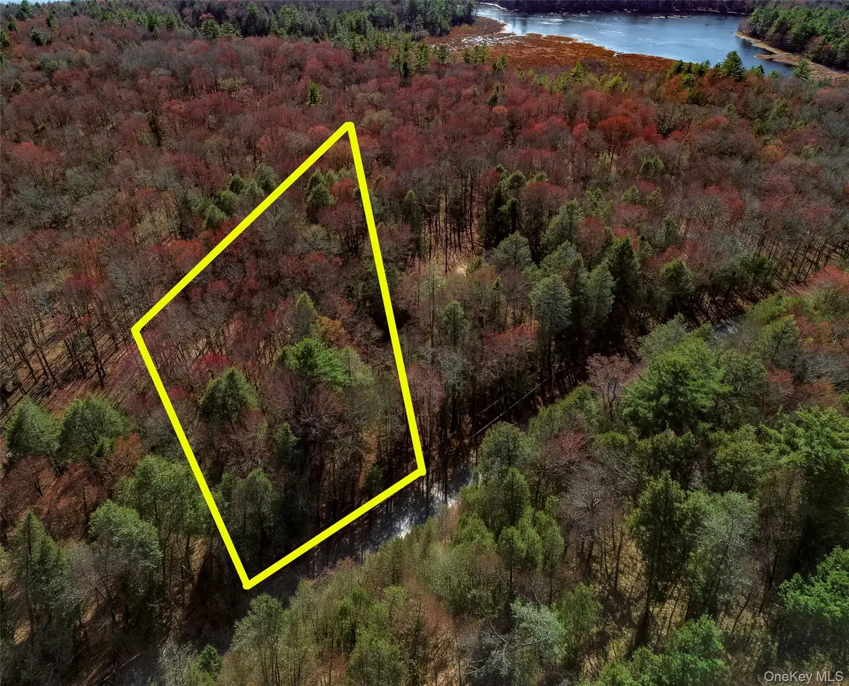 Lot 2 Deer Meadow Road, Bethel, NY 12720 - #1