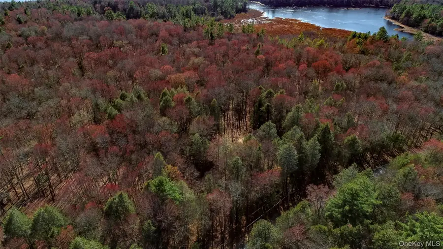 Lot 2 Deer Meadow Road, Bethel, NY 12720 - #2