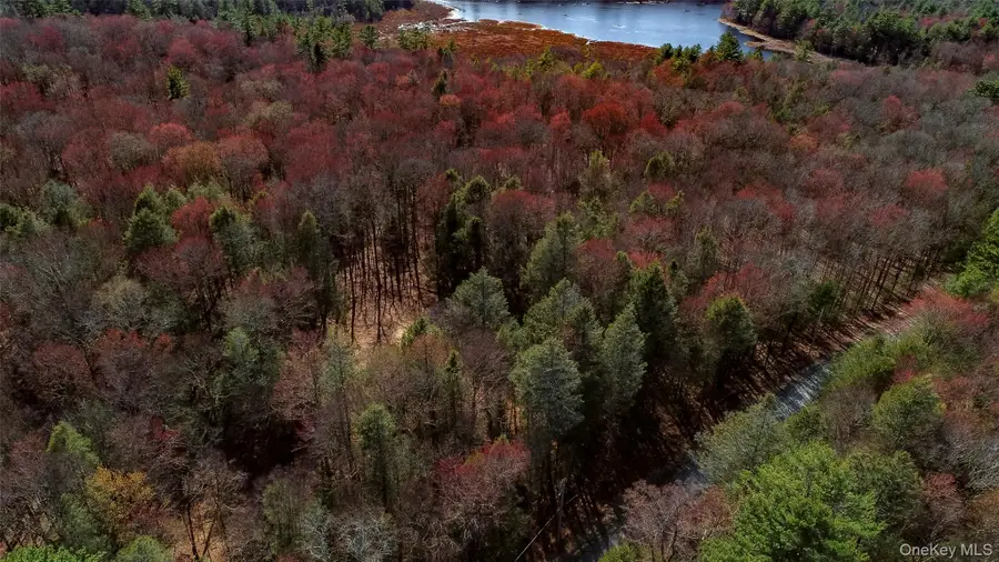 Lot 2 Deer Meadow Road, Bethel, NY 12720 - #3