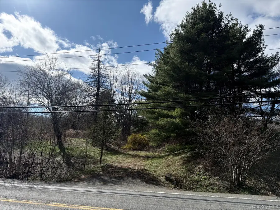 5019 Route 22, Amenia, NY 12501 - #2