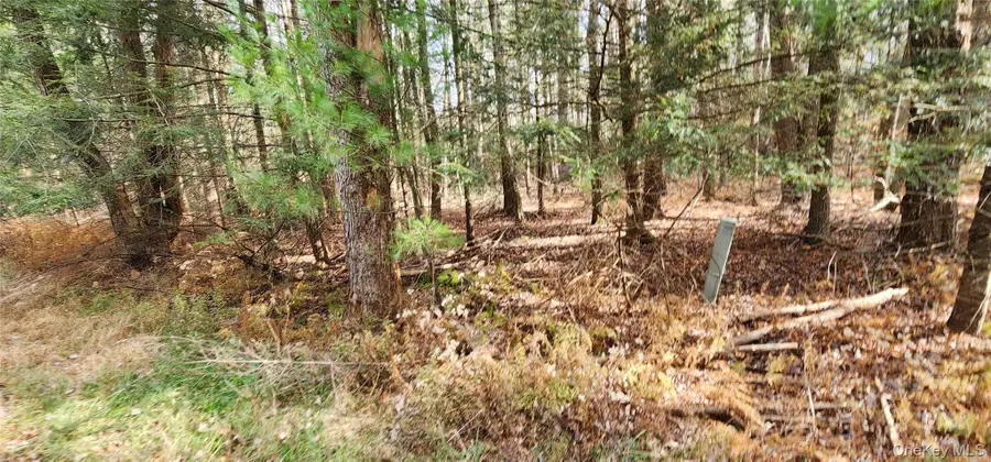 00 Mongaup Road, Monticello, NY 12701 - #2