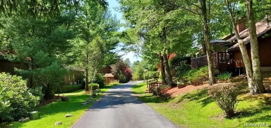 8 Lakeside Drive, Monticello, NY 12701 - #3