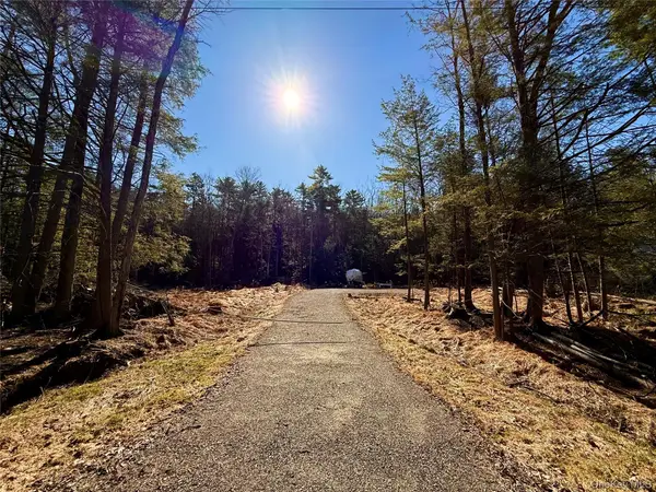 Park Lane, Yulan, NY 12792