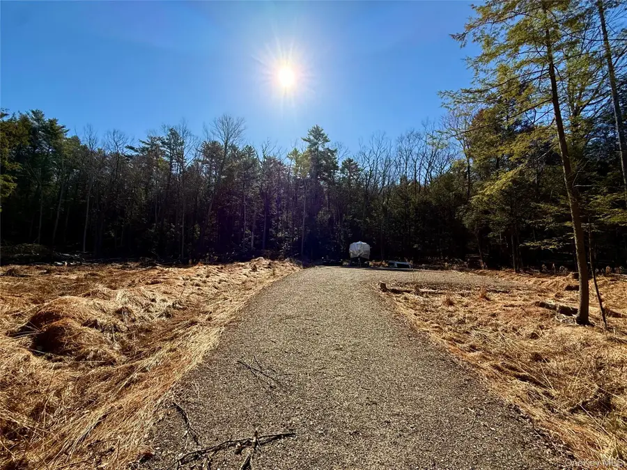 Park Lane, Yulan, NY 12792 - #2