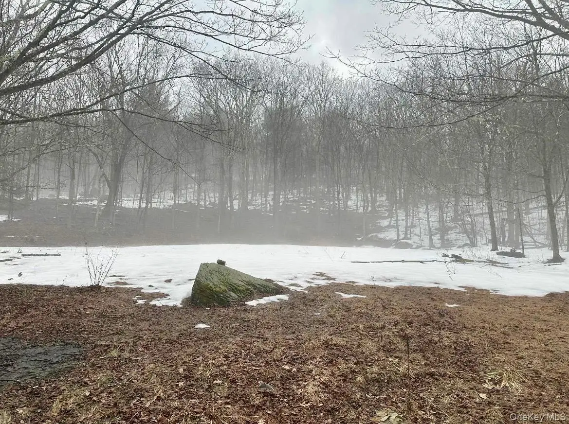 804 Hearts Content Road, Cairo, NY 12413 - #1