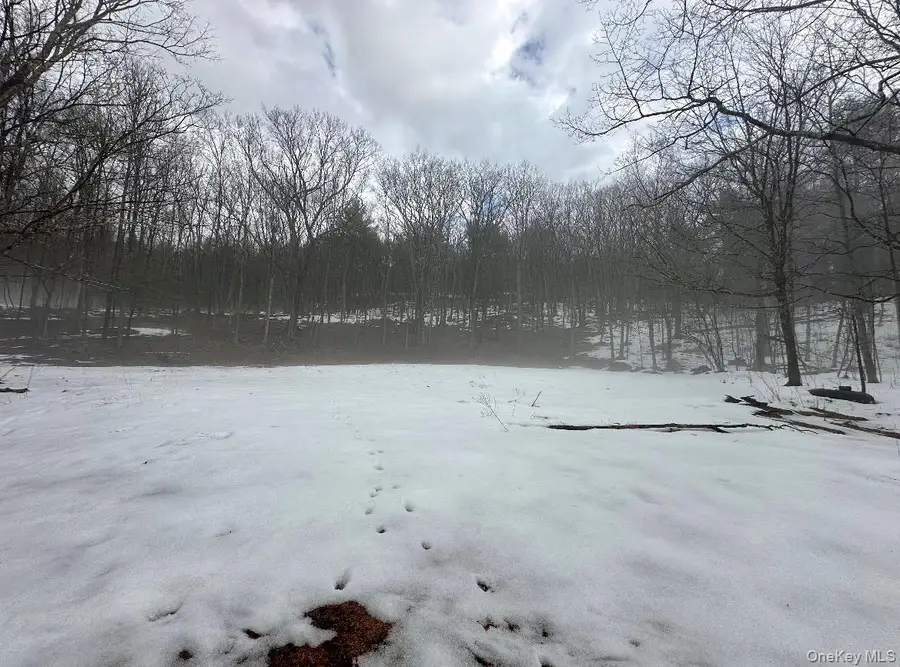 804 Hearts Content Road, Cairo, NY 12413 - #2