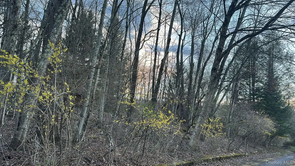 TBD Diane Boulevard, Woodridge, NY 12789 - #1