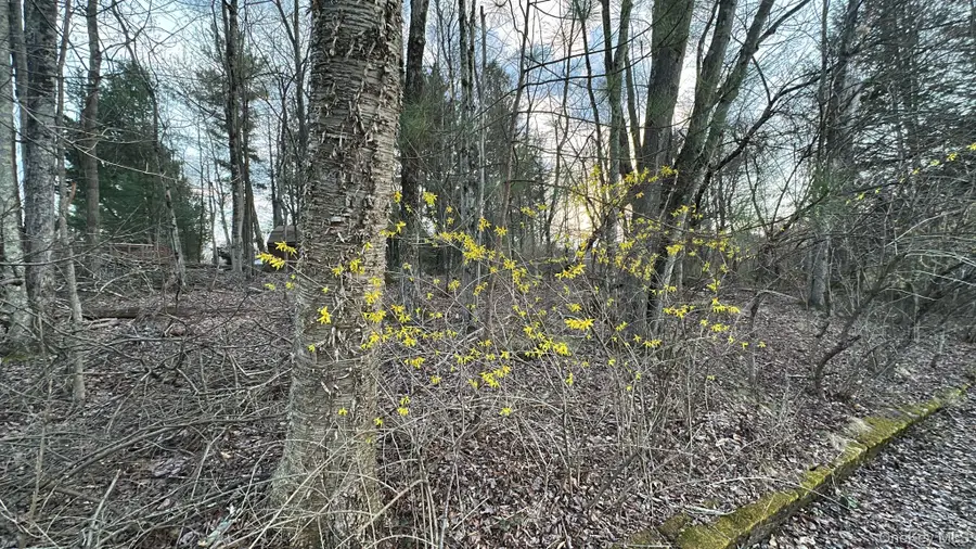 TBD Diane Boulevard, Woodridge, NY 12789 - #2