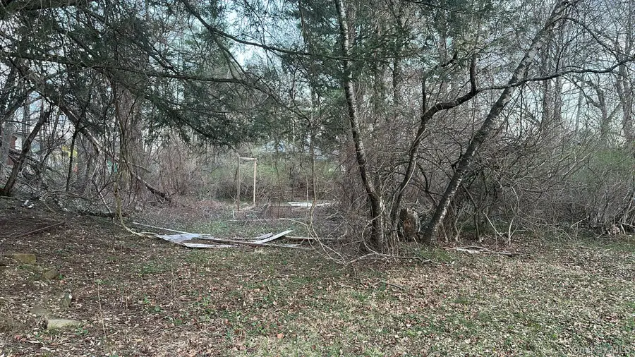 TBD Diane Boulevard, Woodridge, NY 12789 - #3