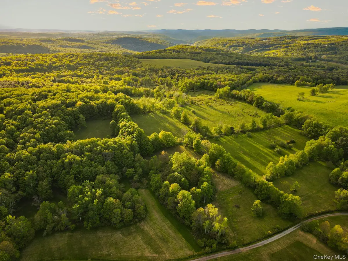 1 Hall Hill Road, Parksville, NY 12768 - #1