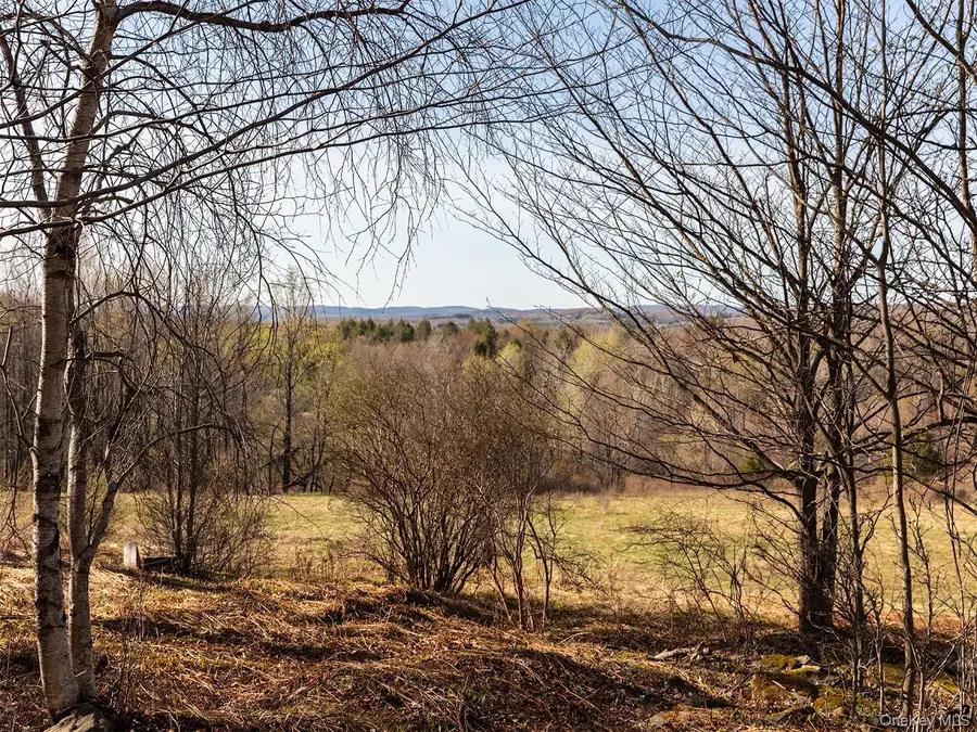 1 Hall Hill Road, Parksville, NY 12768 - #2