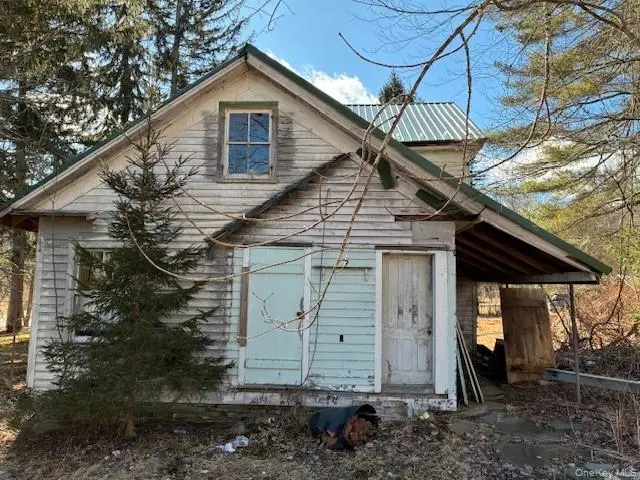 17 Deep Hollow Hill Road, Narrowsburg, NY 12764 - #2