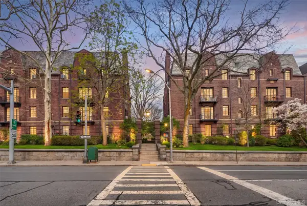 20 N Broadway #O372, White Plains, NY 10601