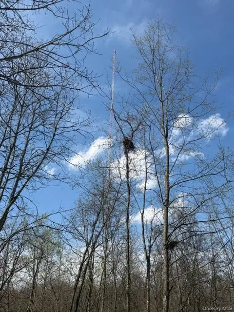 509 Route 9g, Hyde Park, NY 12538 - #1