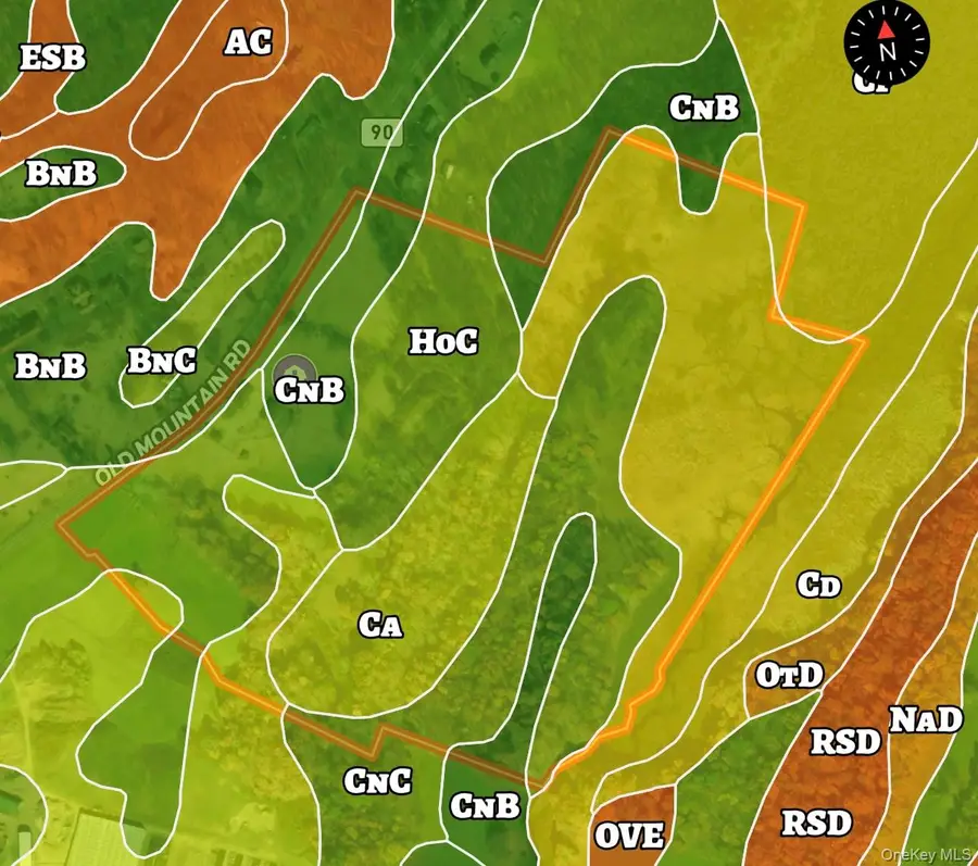 242 Old Mountain Road, Otisville, NY 10963 - #2