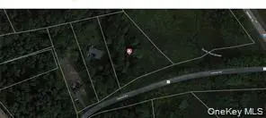 552 Holmes Road, Holmes, NY 12531 - #2