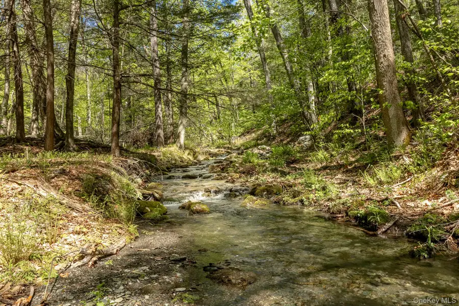 Overlook Drive, Hillsdale, NY 12529 - #2