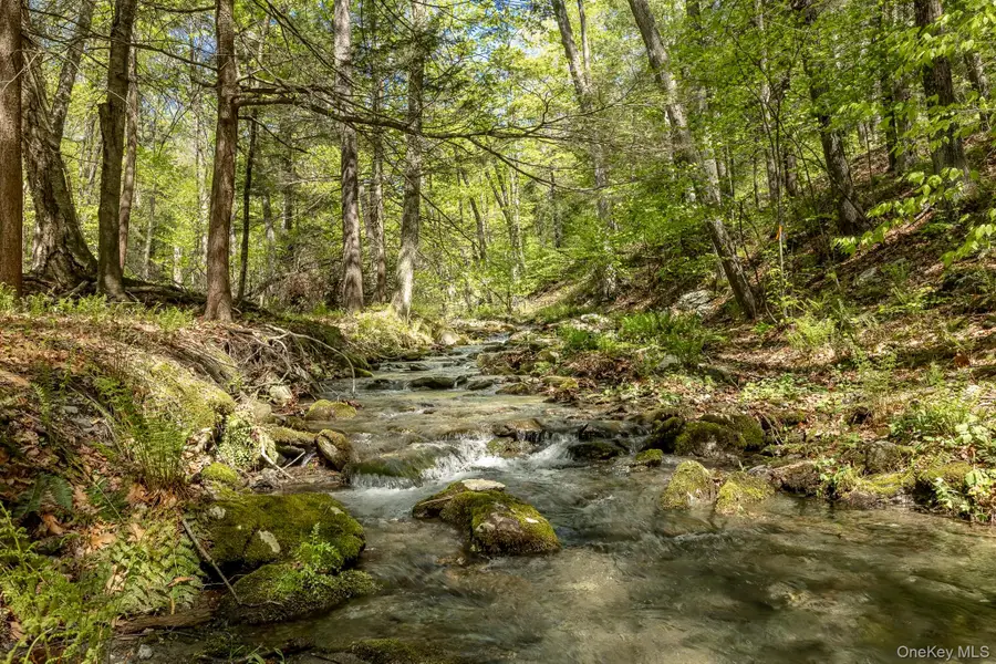 Overlook Drive, Hillsdale, NY 12529 - #3