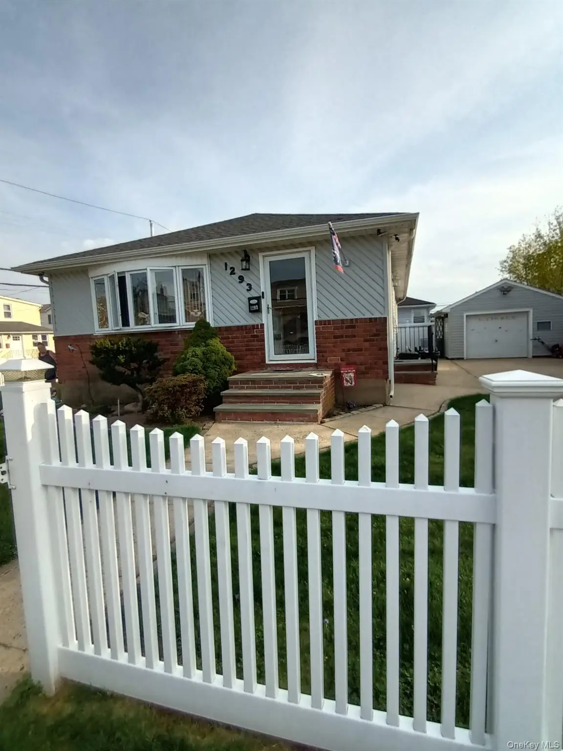 1293 Tribune Avenue, Elmont, NY 11003 - #1