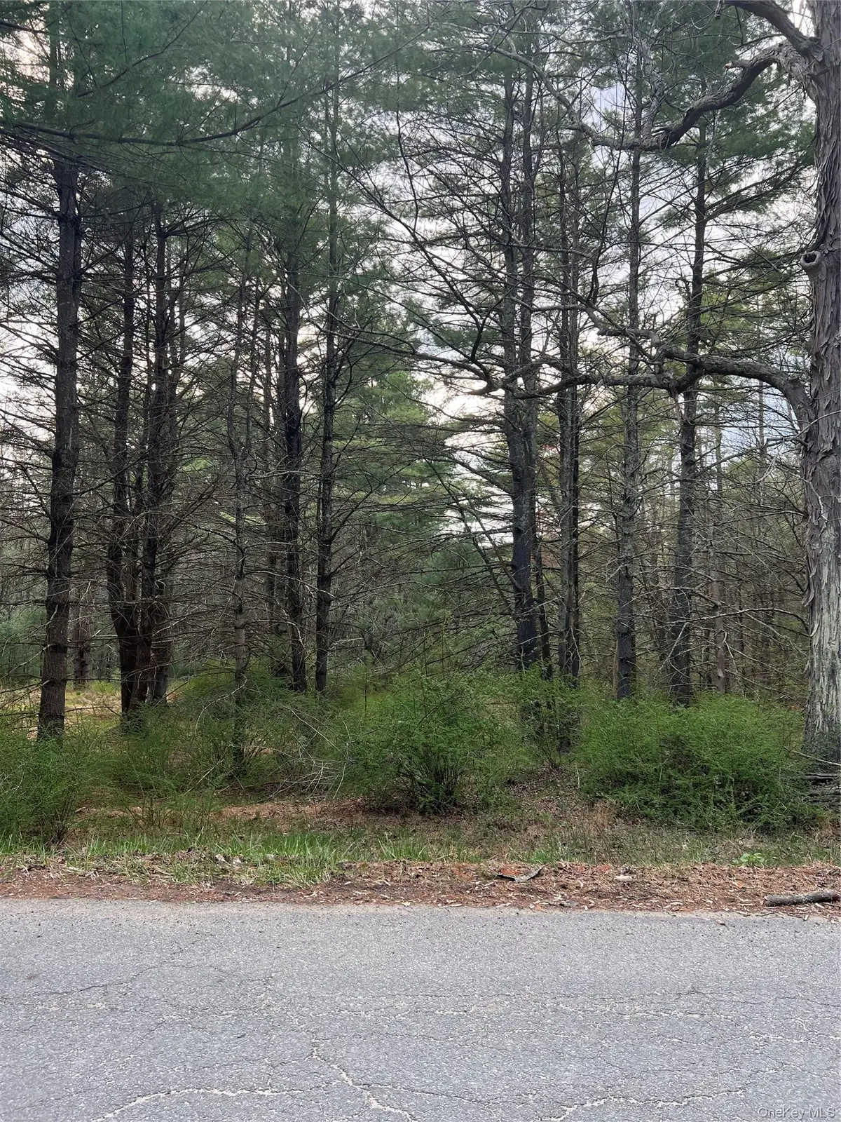 00 Upper Pine Kill Road, Wurtsboro, NY 12790 - #1