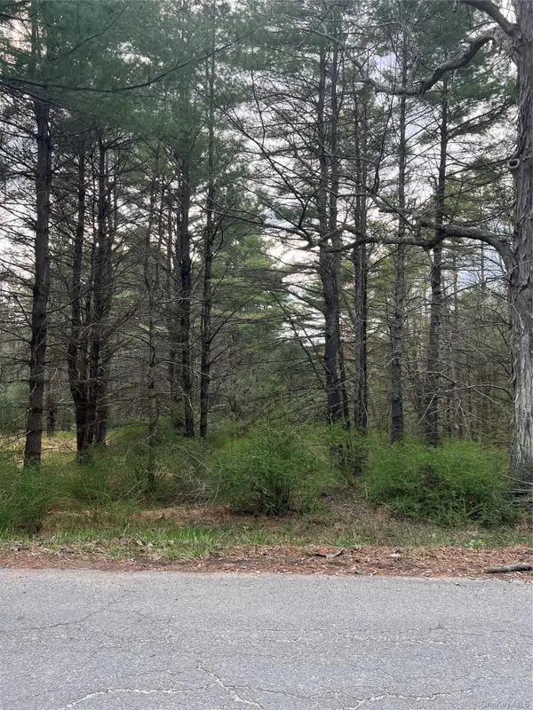 Upper Pine Kill Road Upper Pine Kill Road, Wurtsboro, NY 12790