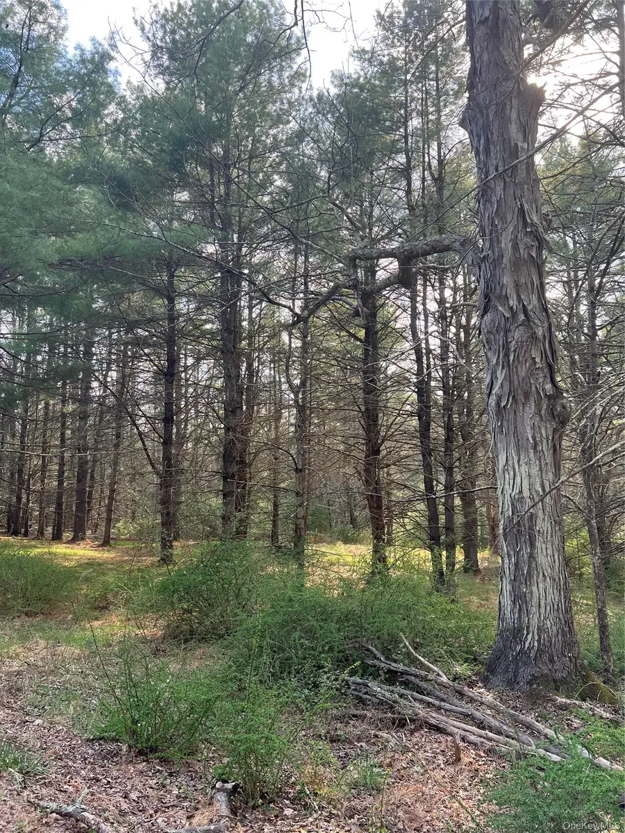 00 Upper Pine Kill Road, Wurtsboro, NY 12790 - #2