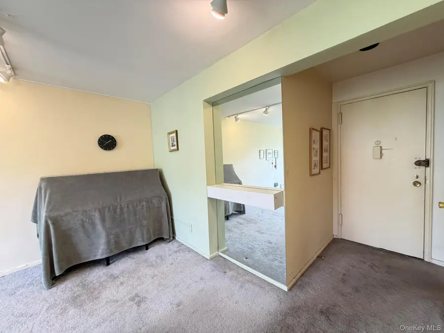 185 S Middle Neck Road #3G, Great Neck, NY 11021 - #3