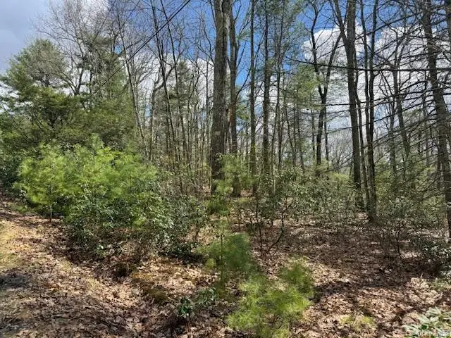 Lot 73.6 Pine Road, Glen Spey, NY 12737 - #3