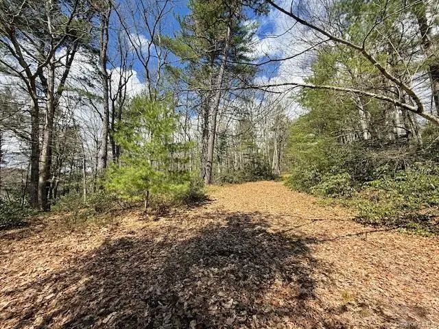 Lot 73.9 Pine Road, Glen Spey, NY 12737 - #2