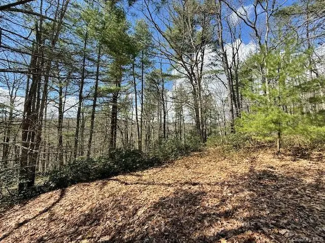 Lot 73.9 Pine Road, Glen Spey, NY 12737 - #3