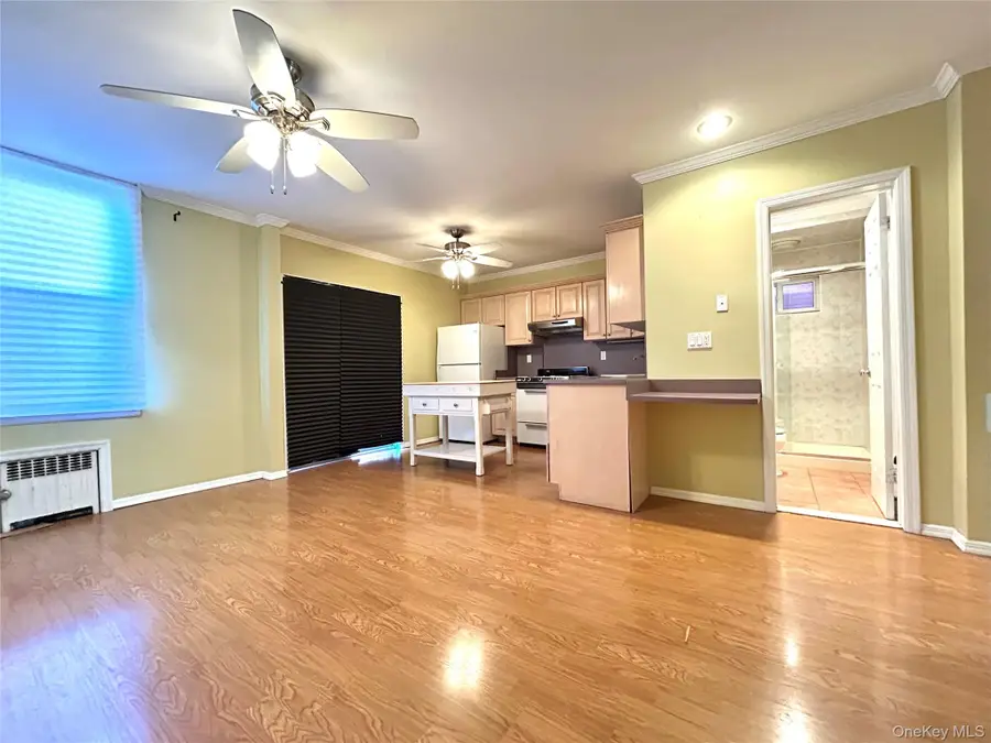 5951 56th Drive, Maspeth, NY 11378 - #3