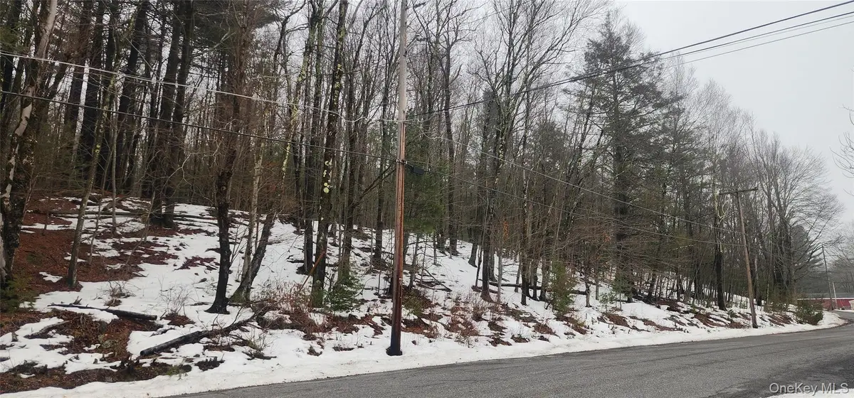 Hamilton Road, Monticello, NY 12701 - #1