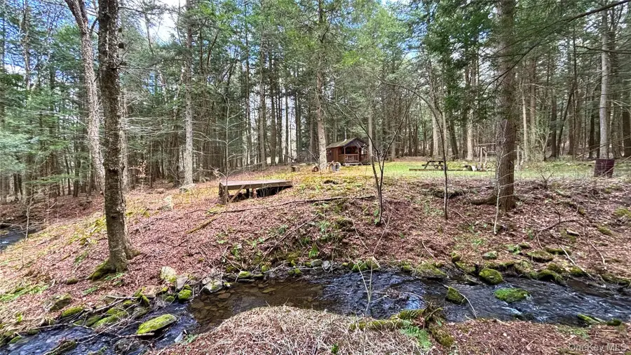 Lot 6.15 Little Beaver Creek Lane, Blenheim, NY 12093 - #2