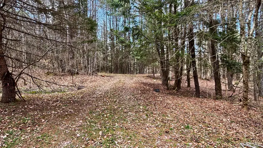 Lot 6.15 Little Beaver Creek Lane, Blenheim, NY 12093 - #3