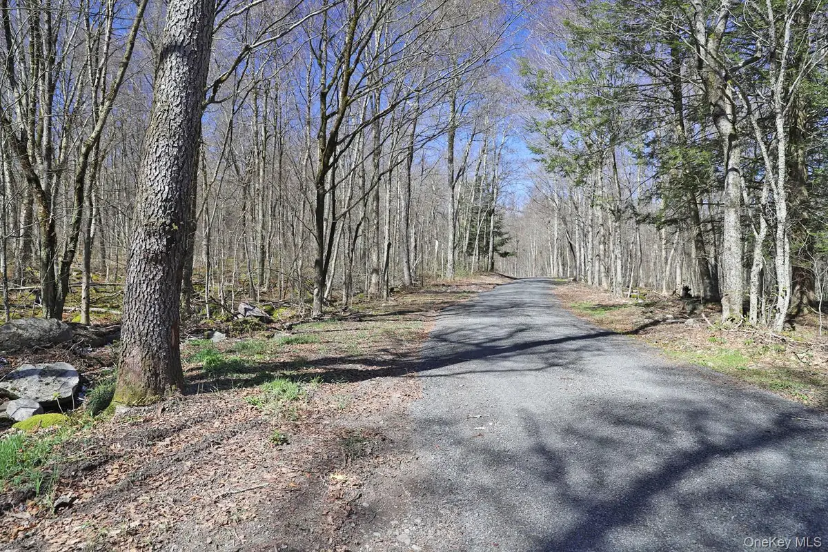 Bethlehem Road, Callicoon Center, NY 12724 - #1