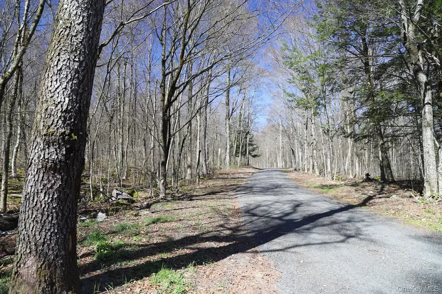 Bethlehem Road, Callicoon Center, NY 12724 - #2