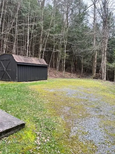 46 Elm Hollow Road, Livingston Manor, NY 12758 - #2